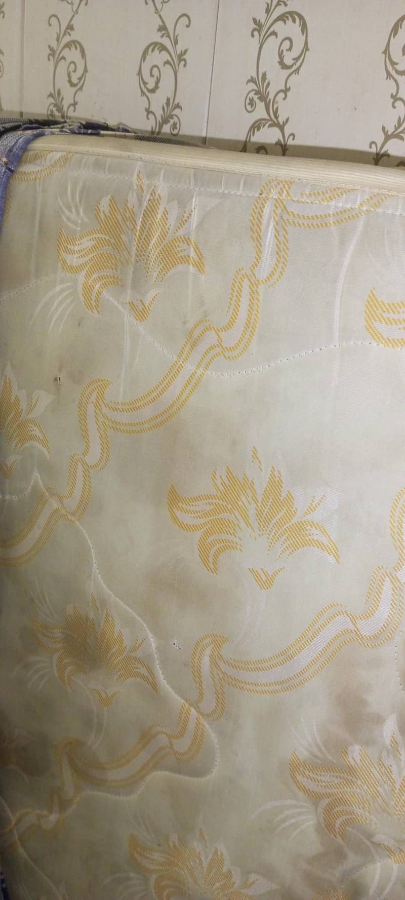 MASTER Celeste Spring 9