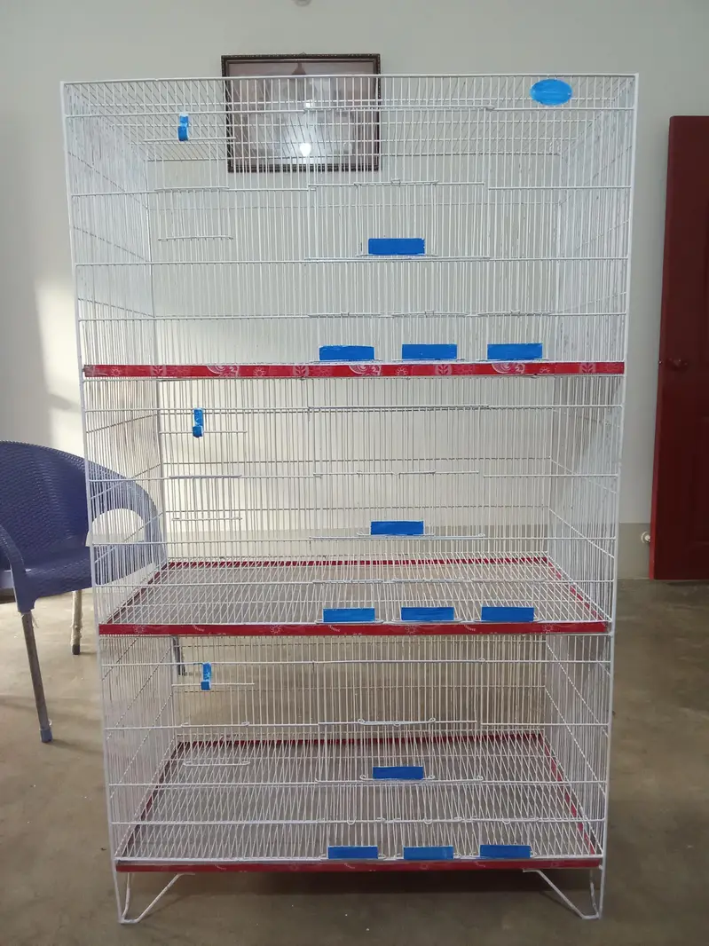 Love Bird cage(2cages) — photo 2