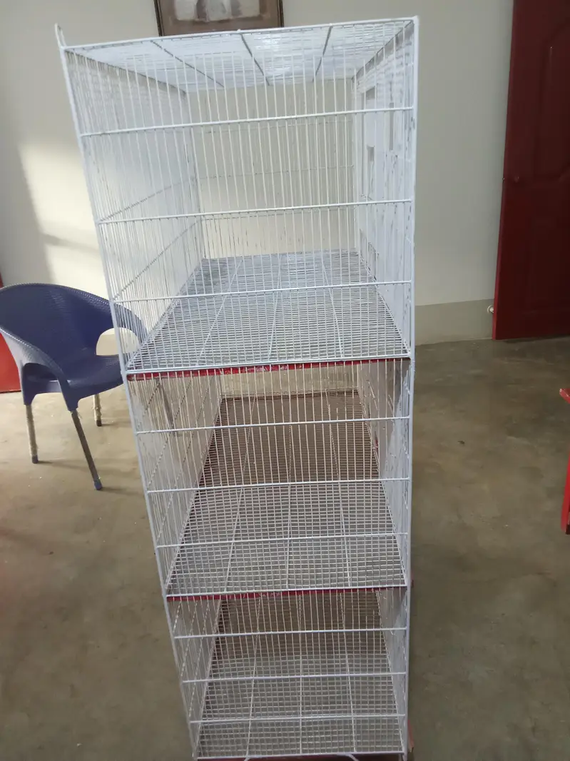 Love Bird cage(2cages) — photo 3