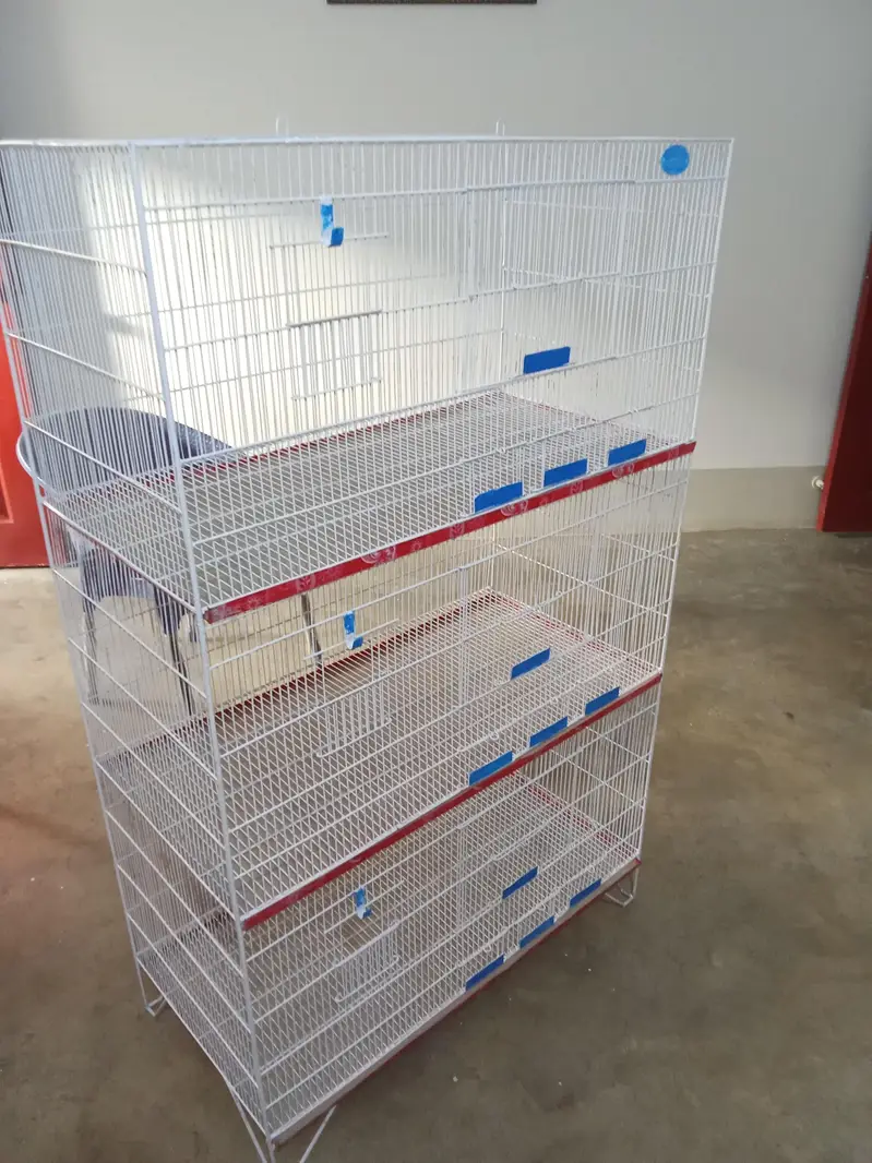 Love Bird cage(2cages) — photo 4