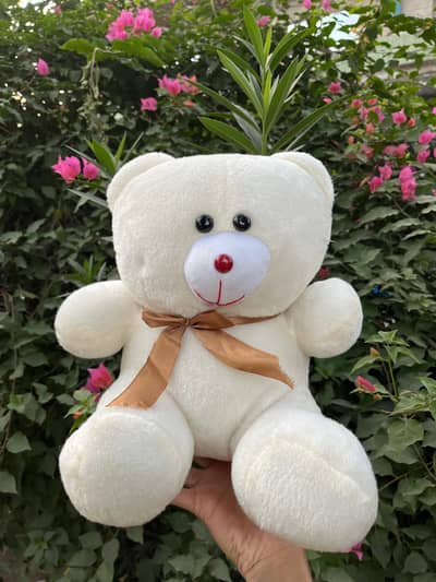 "Soft & Cuddly 1 Feet Teddy for Sale "