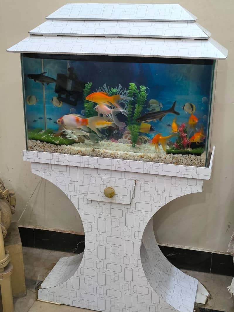 fish aquarium for sale with 12 fishes and all equipments 0322-6191761 ...