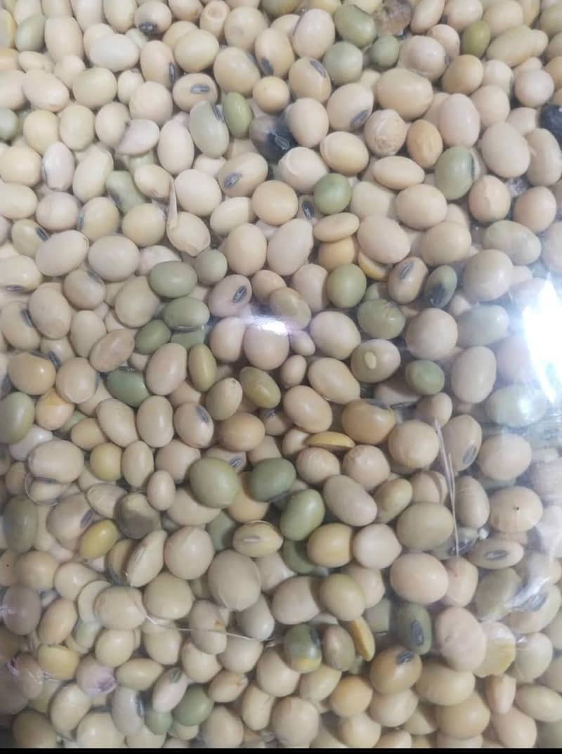 Soya beans 0