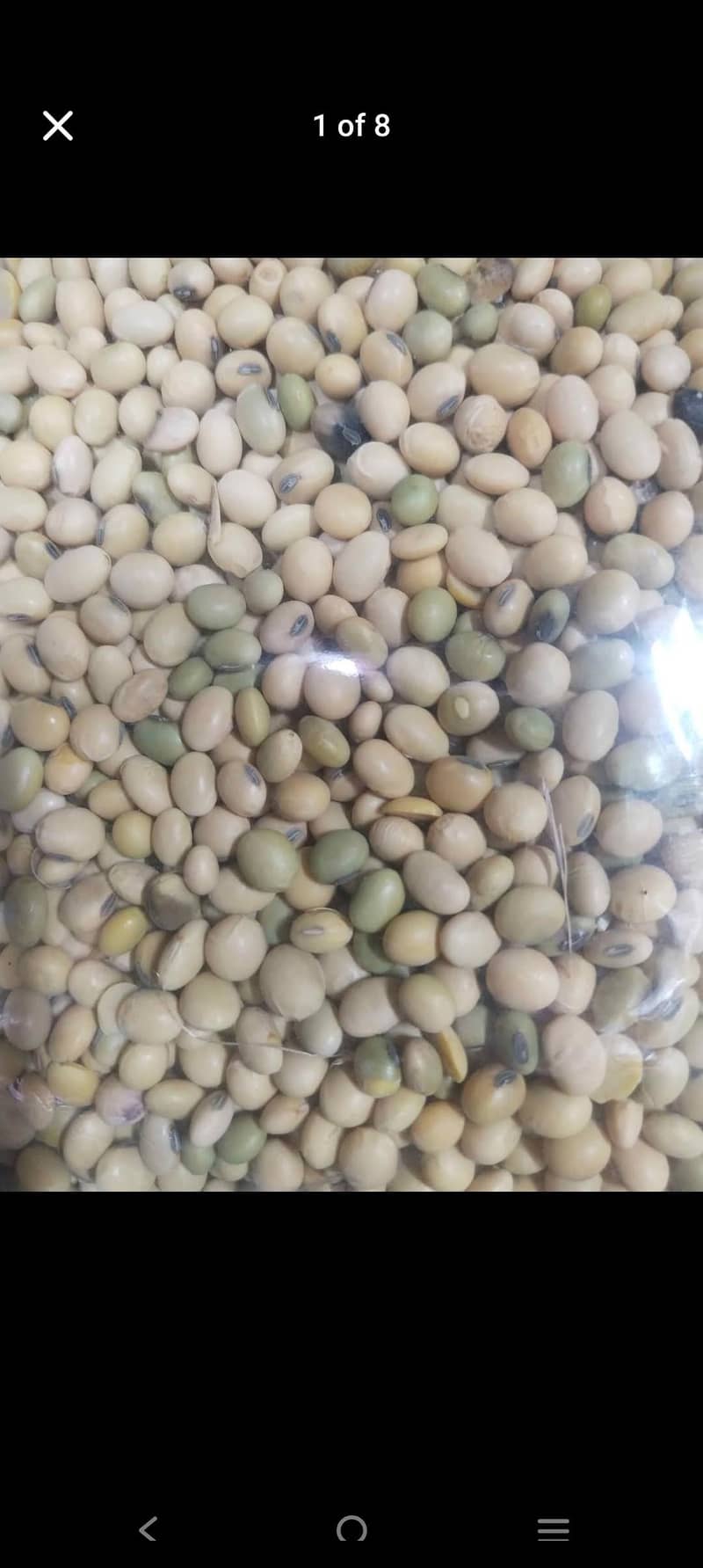 Soya beans 1