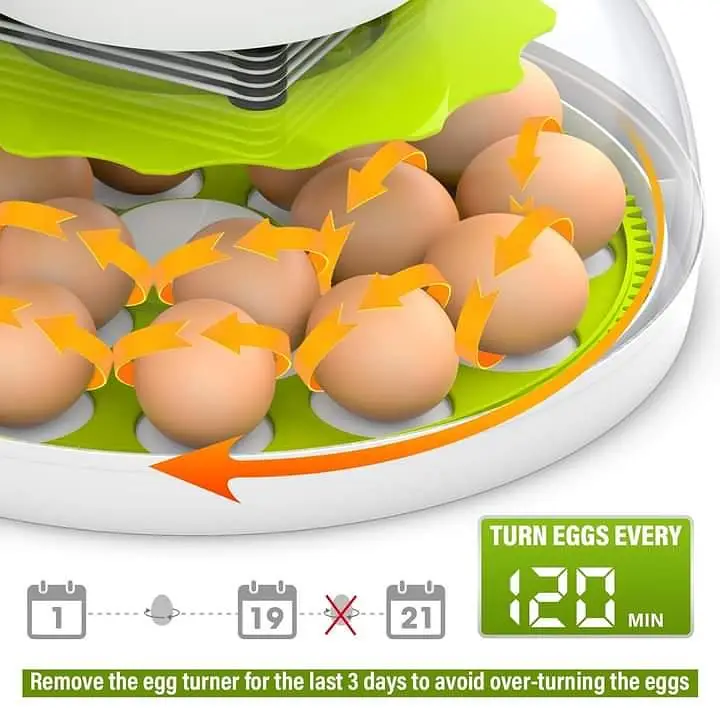 RAMZAN OFFER 18/8 EGGS FULLY AUTOMATIC INCUBATOR AC+DC — photo 8