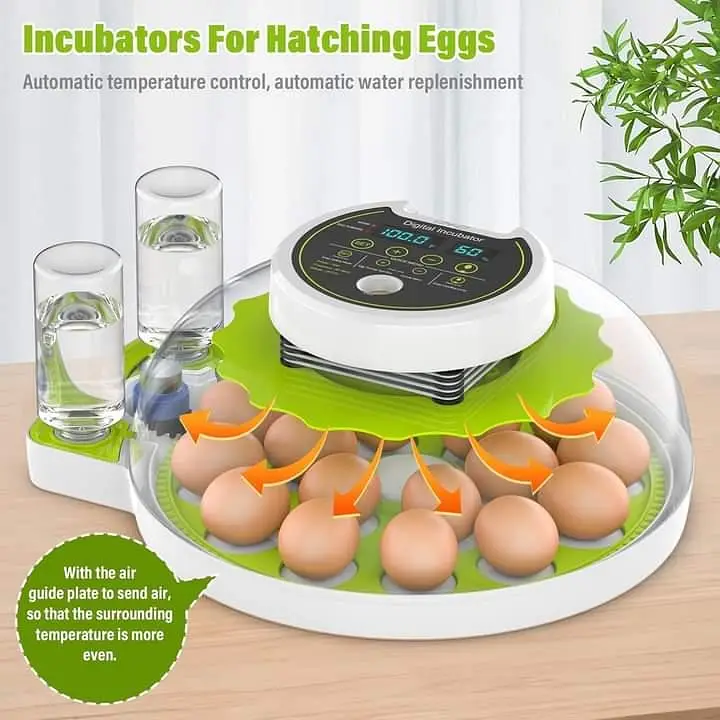 RAMZAN OFFER 18/8 EGGS FULLY AUTOMATIC INCUBATOR AC+DC — photo 11