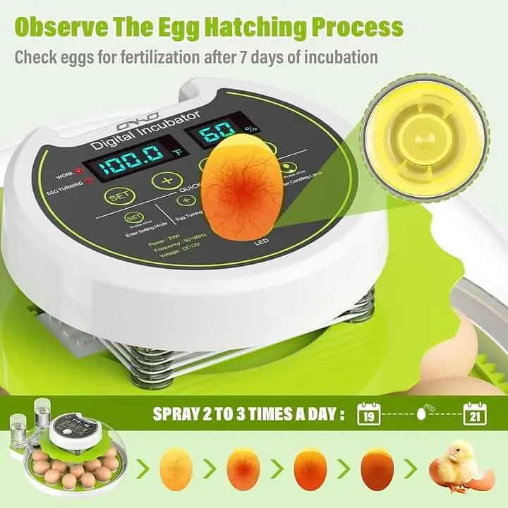 RAMZAN OFFER 18/8 EGGS FULLY AUTOMATIC INCUBATOR AC+DC — photo 7