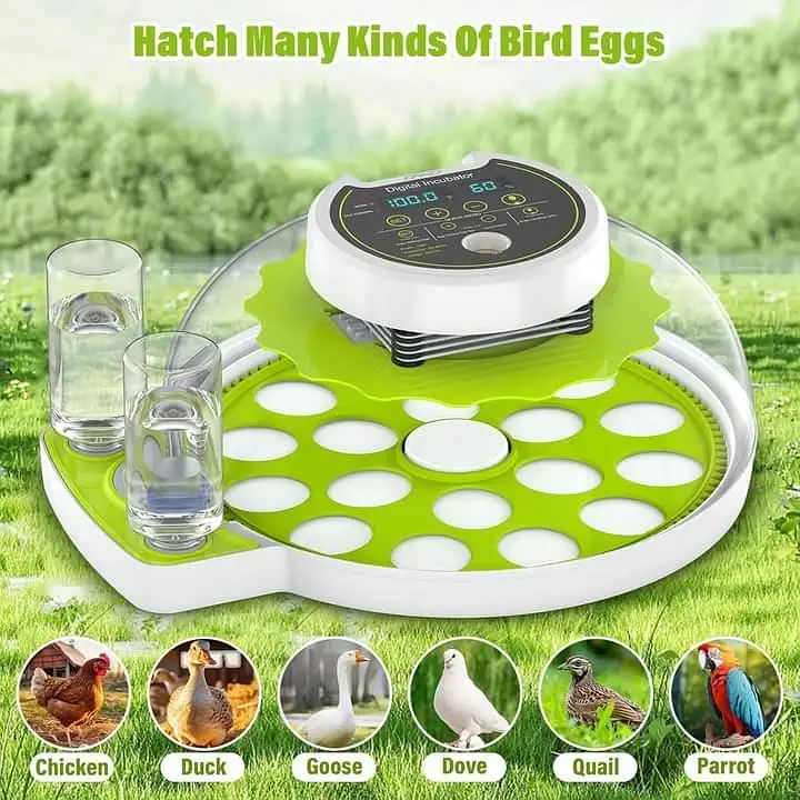 RAMZAN OFFER 18/8 EGGS FULLY AUTOMATIC INCUBATOR AC+DC — photo 4