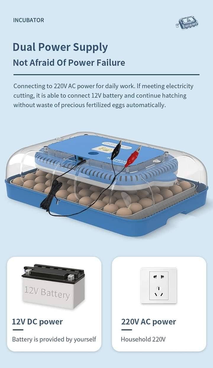 Automatic Egg Incubator | Egg Hatching Machine | Incubator | Brooder 4