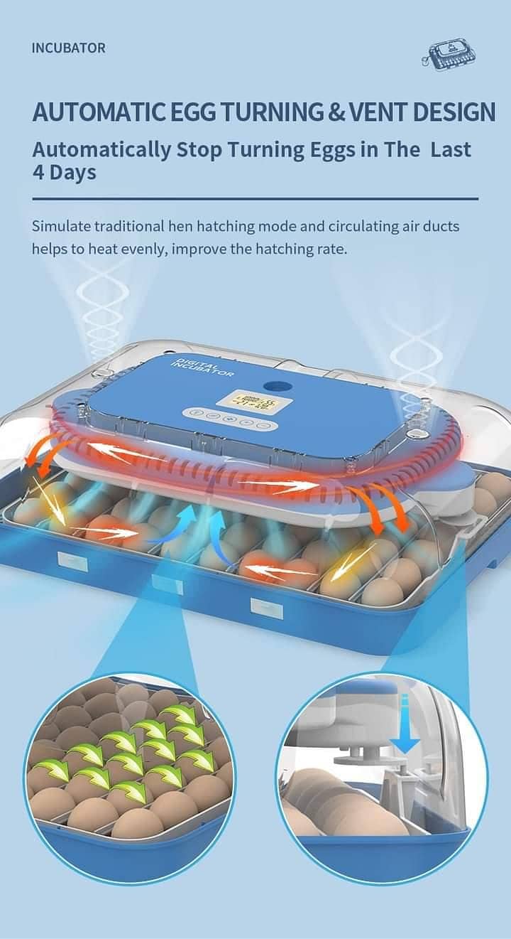 Automatic Egg Incubator | Egg Hatching Machine | Incubator | Brooder 6
