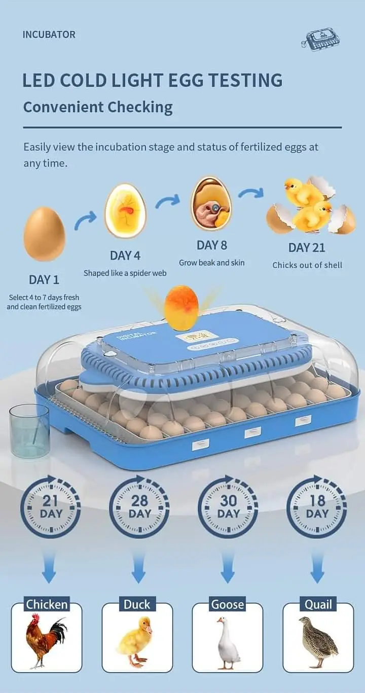 70 Eggs incubator | Hatching machine | automictic incubator | Brooder