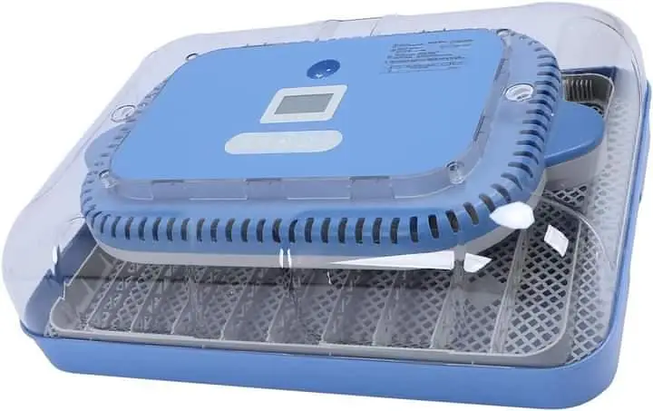 70 Eggs incubator | Hatching machine | automictic incubator | Brooder — photo 9