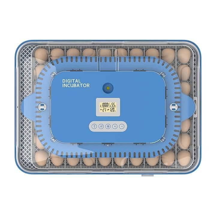 Automatic Egg Incubator | Egg Hatching Machine | Incubator | Brooder 9