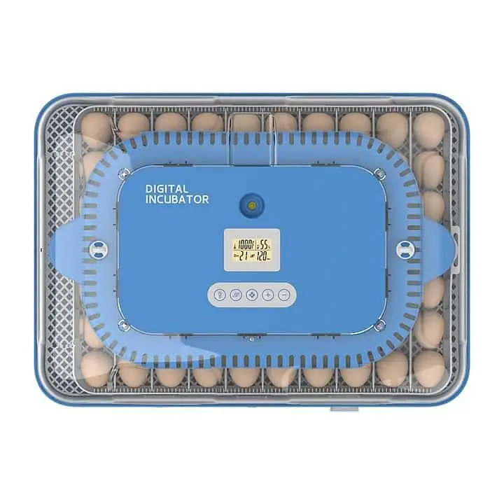 70 Eggs incubator | Hatching machine | automictic incubator | Brooder — photo 10
