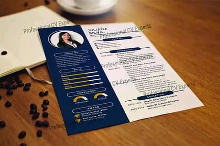 Professional CV Experts