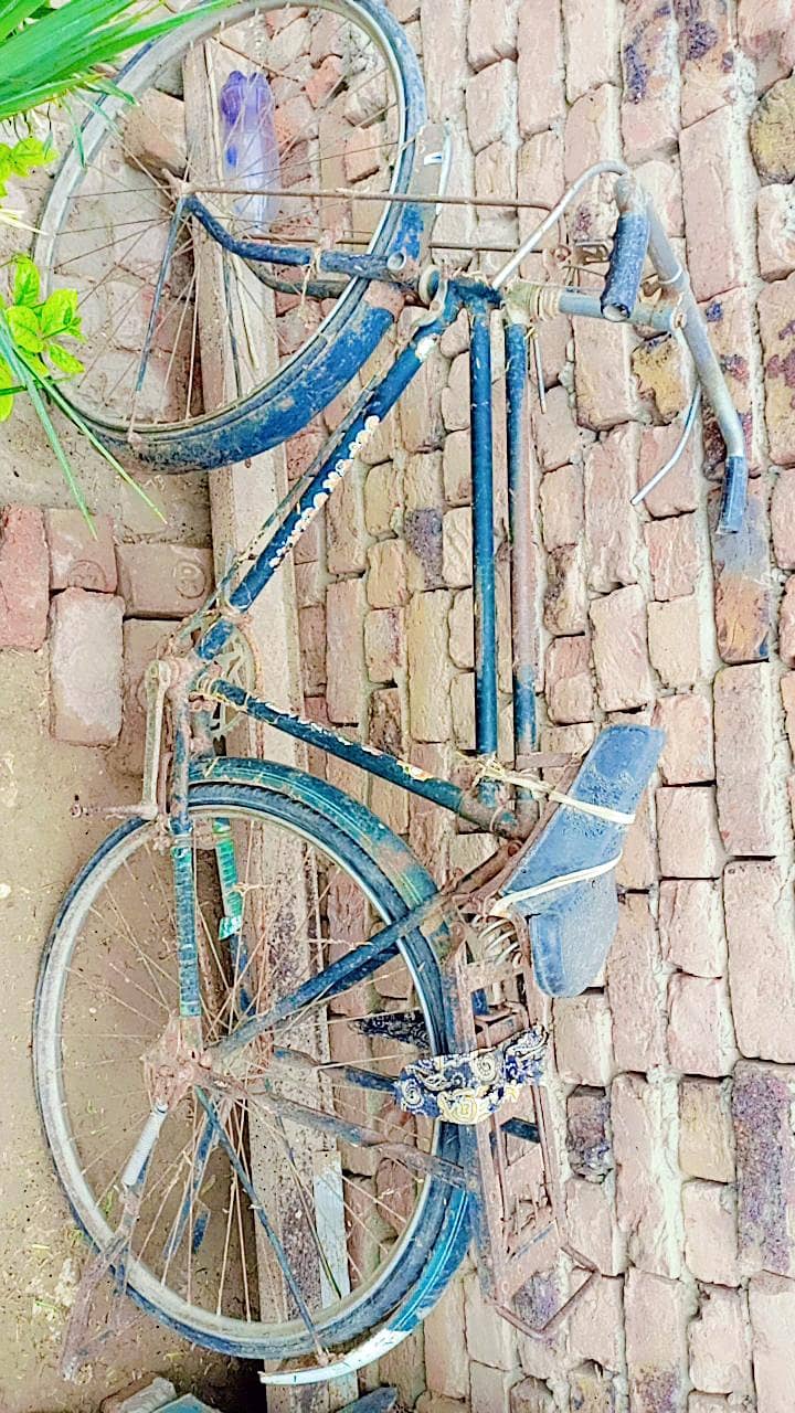 Bicycle 1