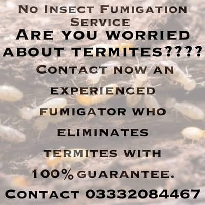 Fumigation service pest control service termite fumigation expert