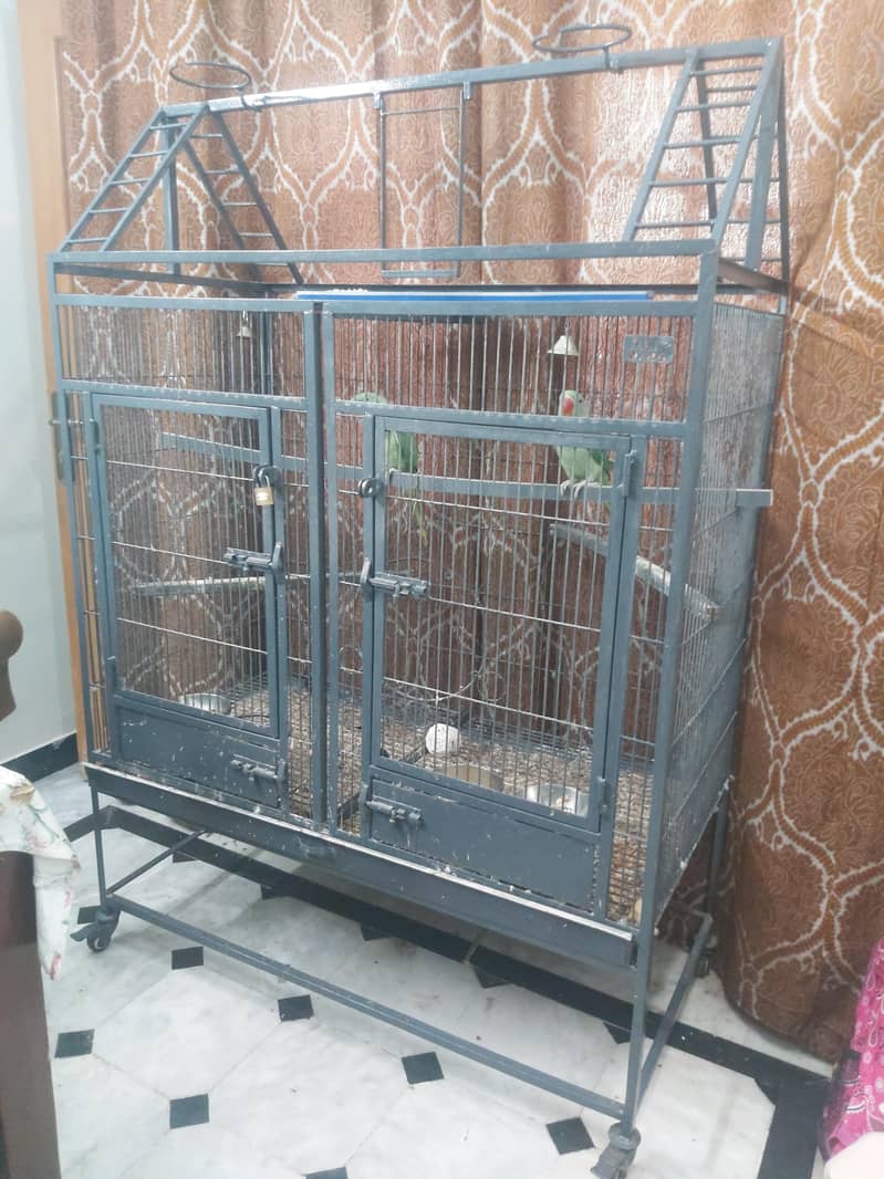 Big Solid Heavy Cage 2
