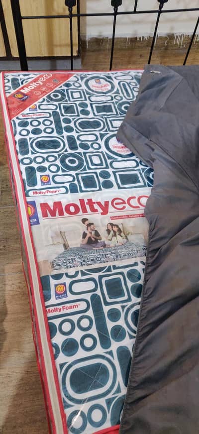 Molty form matters 6 inch Single bed