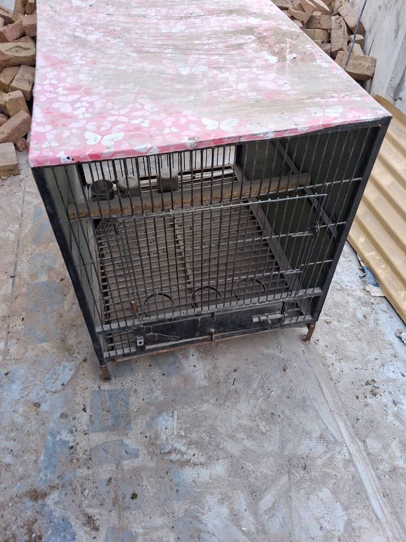 cages 1