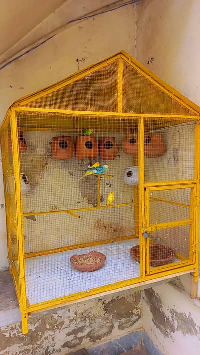 Urgent sale Birds cage