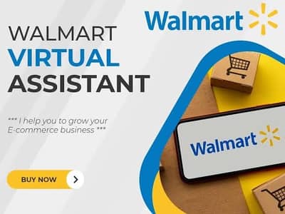 Virtual Assistance of Walmart, Ebay, Tiktok shop, Etsy USA Market
