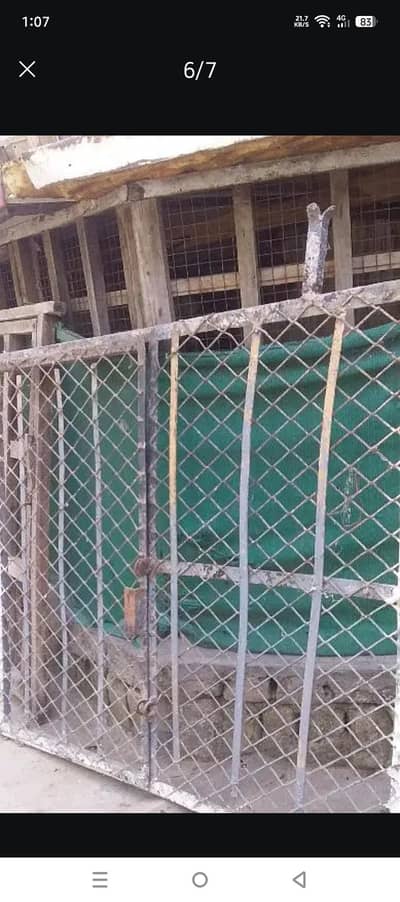 steel doors for hens  and dogs