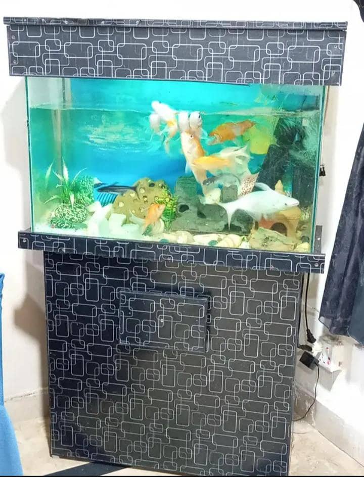 Fish Aquarium 1