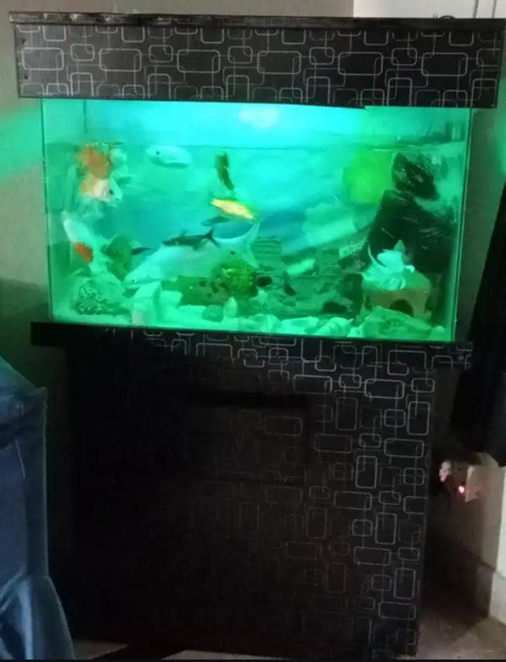 Fish Aquarium 2
