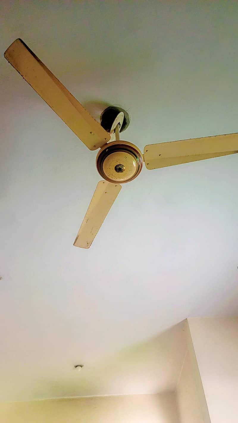 ceeling fan 0