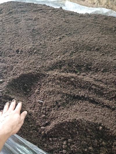 Organic Vermi Compost