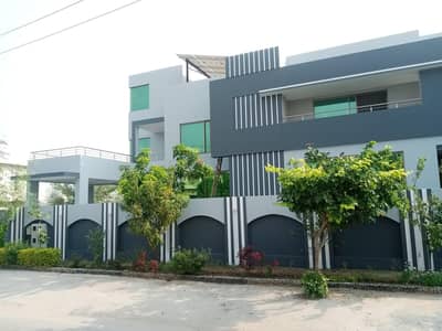 25Y experienced painter