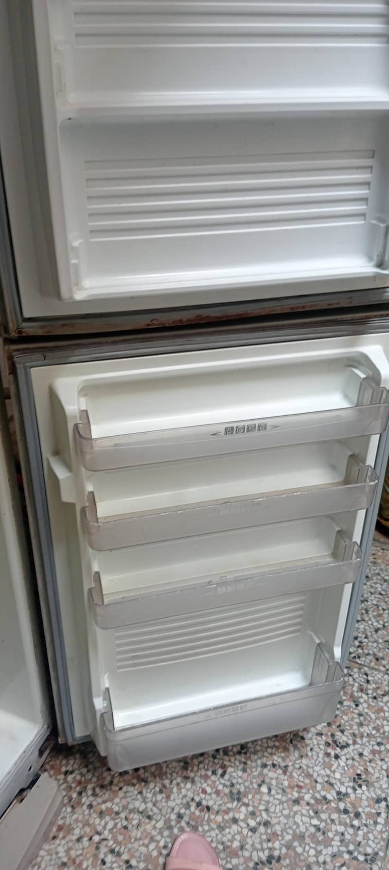 medium size fridge 3