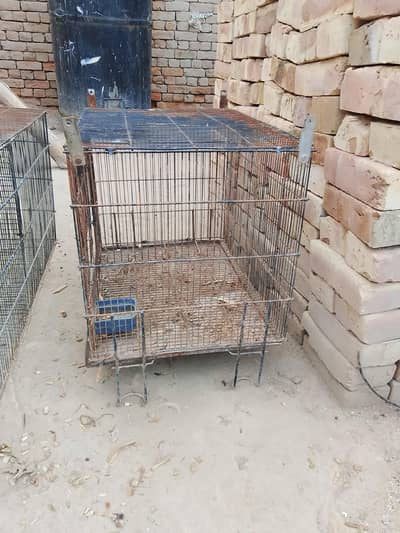 rabbit for sale parrot cage available ha