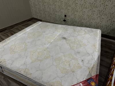 Bed/Mattress Spring Original Molty foam good con