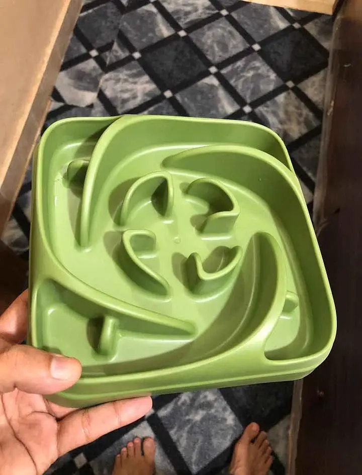 Cat & Dog Slow Feeding Bowl Best Quality