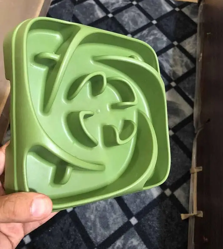 Cat & Dog Slow Feeding Bowl Best Quality — photo 2