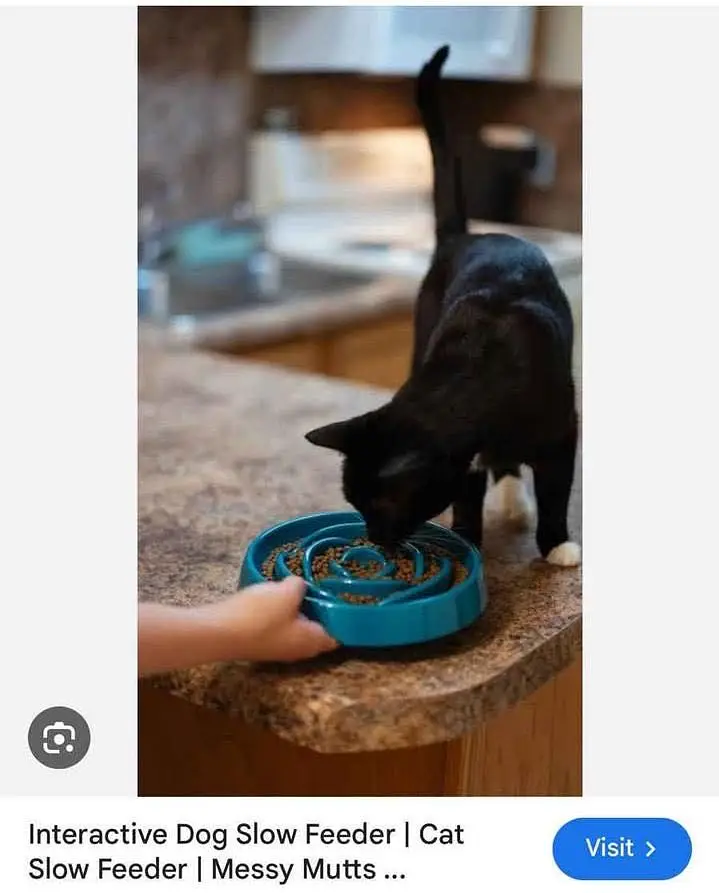 Cat & Dog Slow Feeding Bowl Best Quality — photo 4