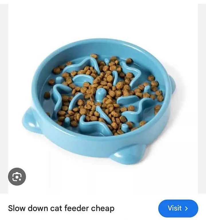 Cat & Dog Slow Feeding Bowl Best Quality — photo 5