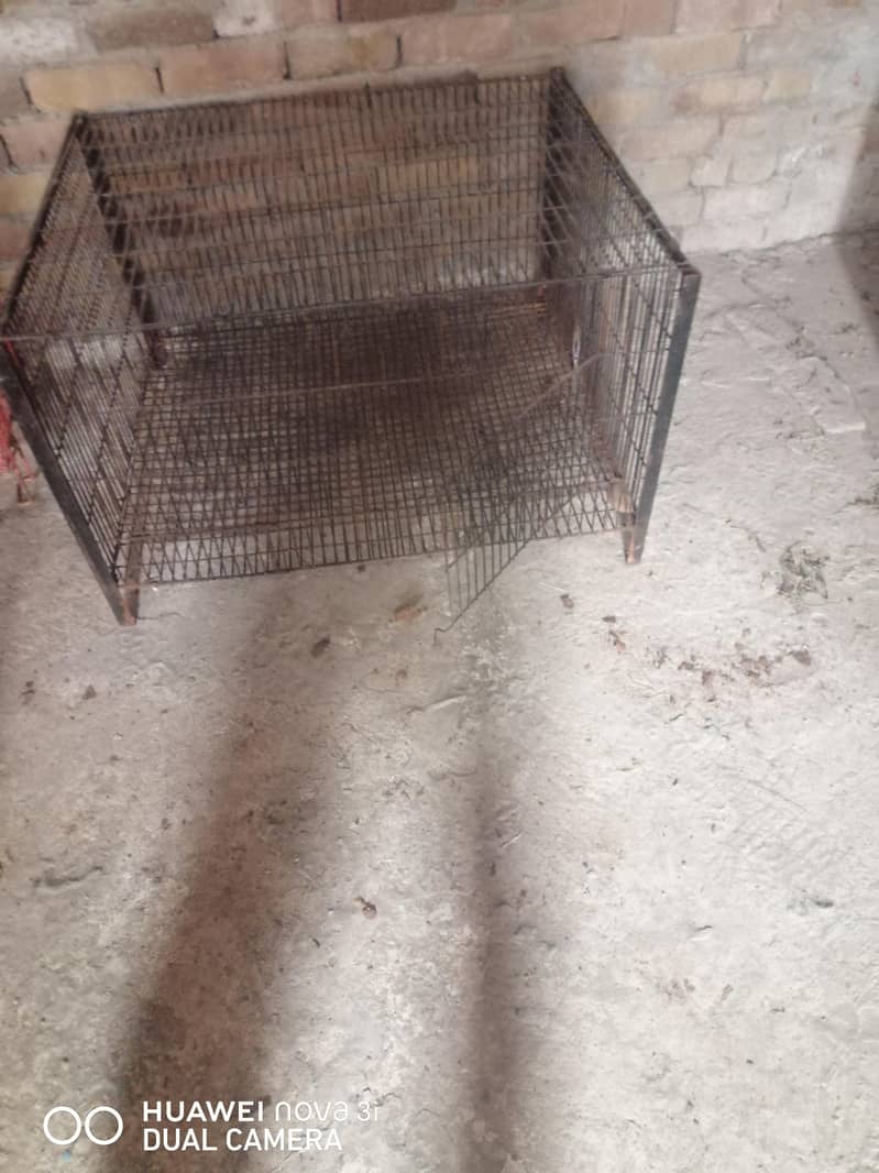 cage 3*2.5*1.5 1