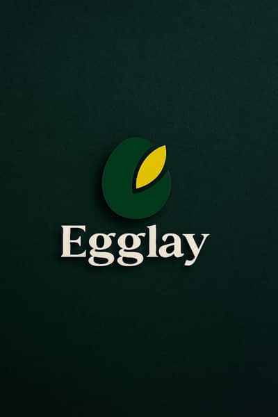 Professional Graphic Designer | Logo, Business Card, Social Media