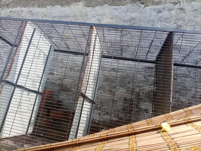 Birds Cage For Sale
