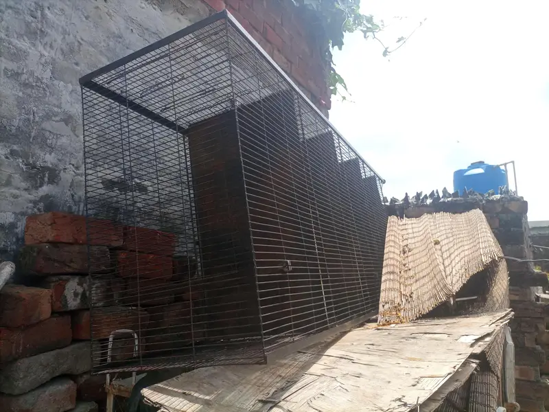 Birds Cage For Sale — photo 2