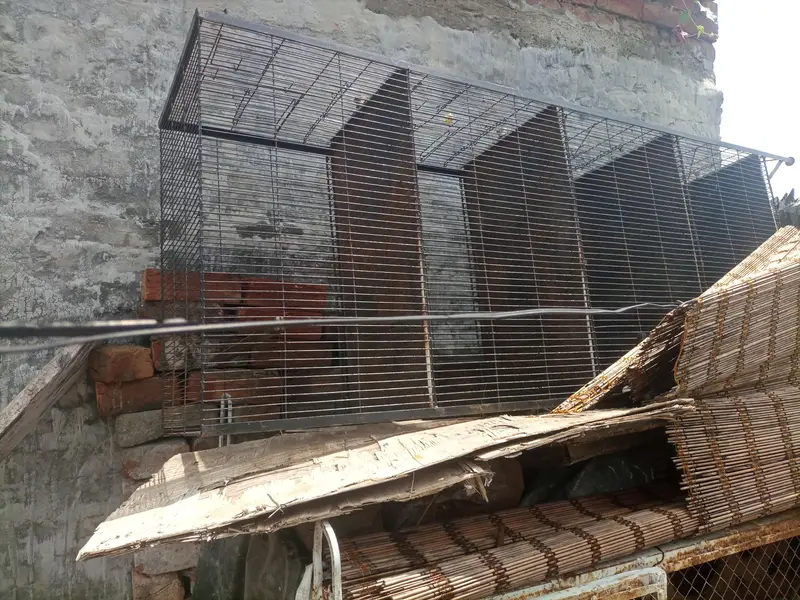 Birds Cage For Sale — photo 3