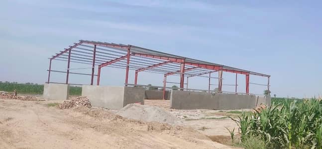 PEB sheds / industrial shed - dairy shed - steel shed,warehouse shed/