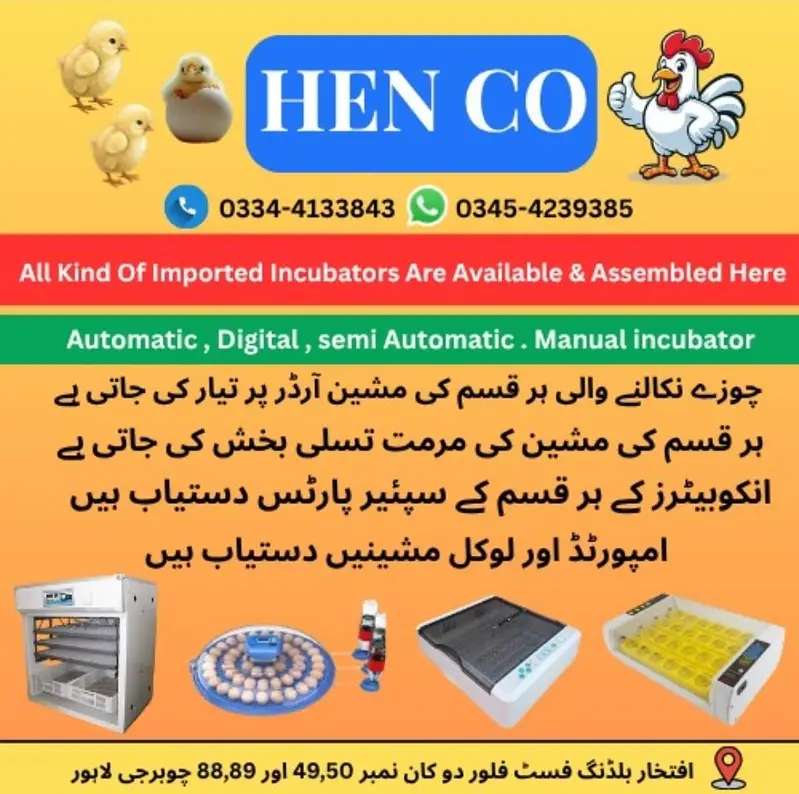 automatic and semi auto incubators 8 eggs to 10,0000 eggs — photo 2