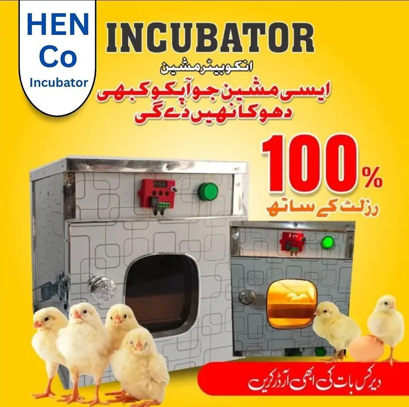 automatic and semi auto incubators 8 eggs to 10,0000 eggs — photo 3