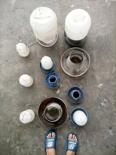 Poultry Feeders & Drinkers for Sale | Chicken Feeding & Water Pots"