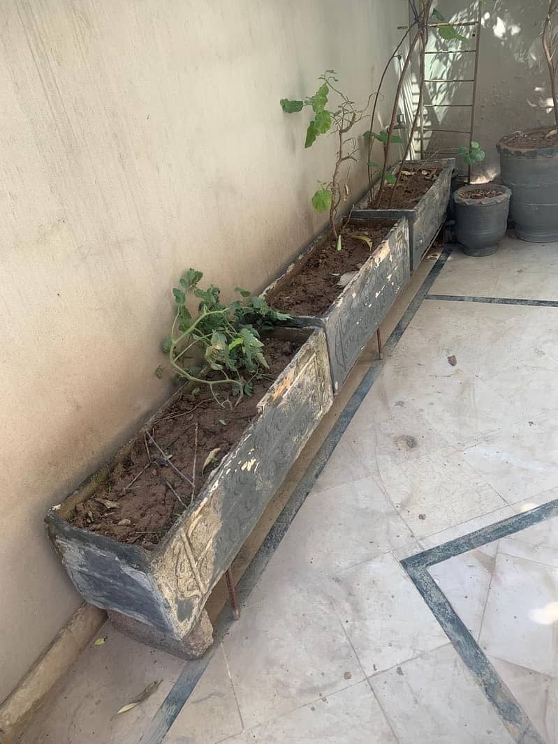 Kyari and planter in a good condition 1