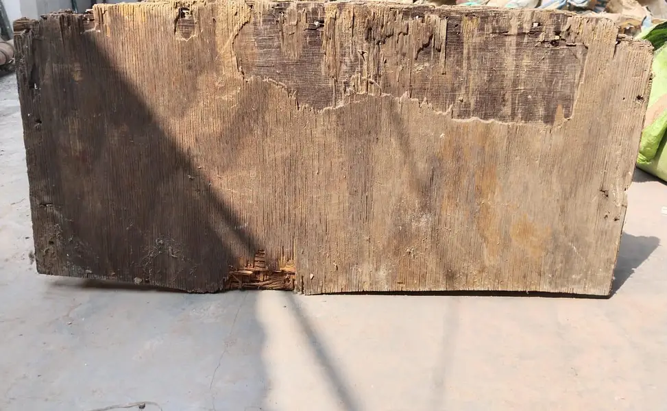 A Cage and Wooden Net Frame